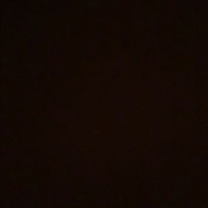 Meet your Posher, Lily